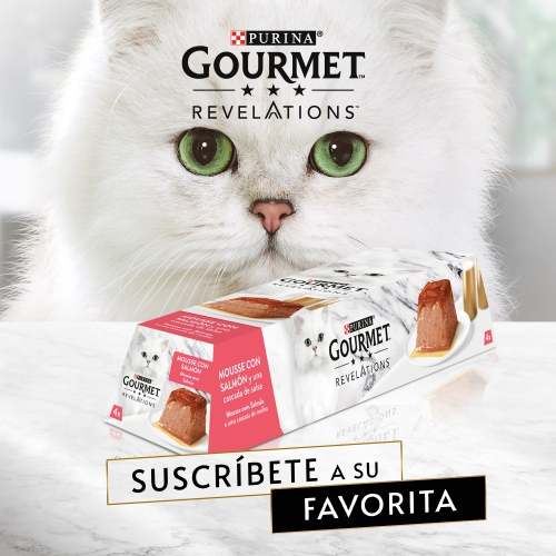 Pack x24 Tarrinas Purina Gourmet Revelations Multipack Mousse image number null